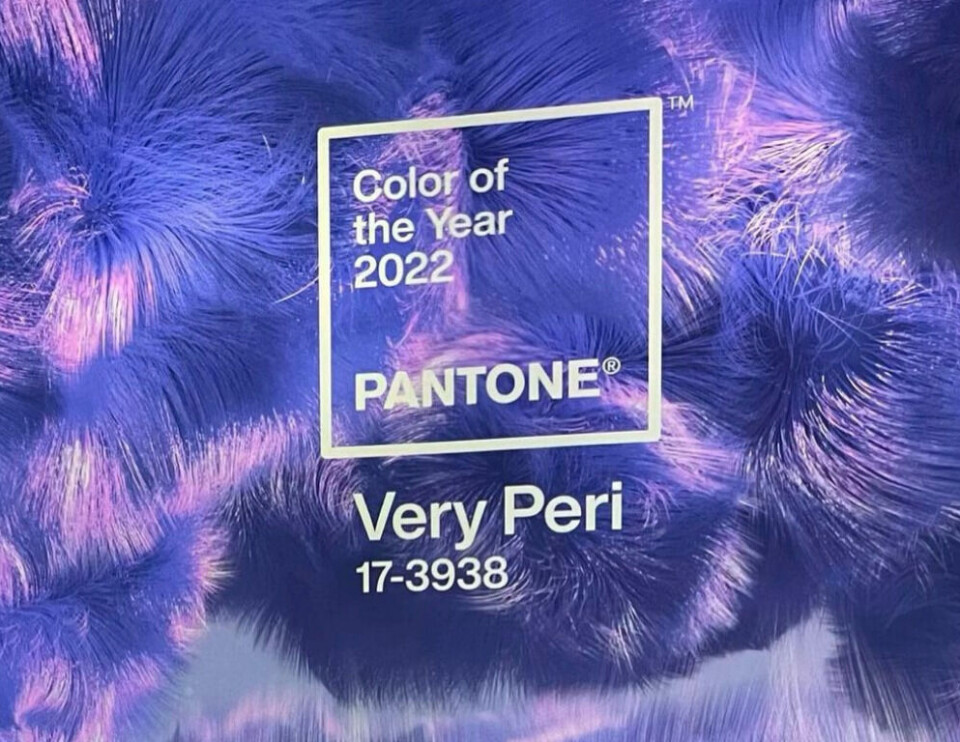 @pantone Instagram